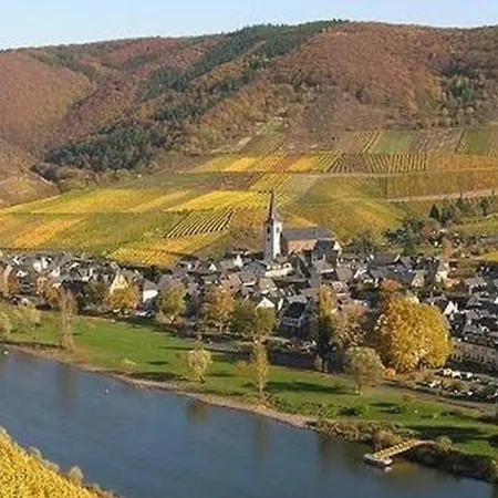 Moselwinzerhaus * Bruttig-Fankel
